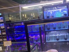 -宠物世家(仲盛世界商城店)