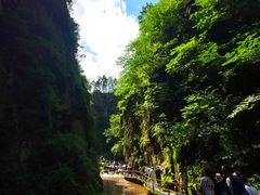 -茅兰沟国家森林公园