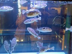 -肆月河豚·淮扬菜·湘菜(华天店)