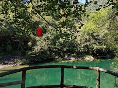 -石台牯牛降景区