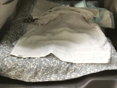 -彩虹桥宠物火化殡葬善终服务(金乐大厦店)