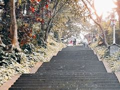-海口火山口国家地质公园