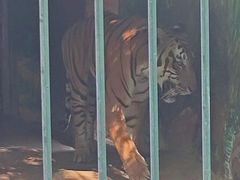 -新疆天山野生动物园