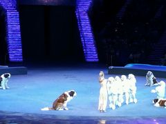 -珠海横琴长隆《卡卡虎奇遇记》