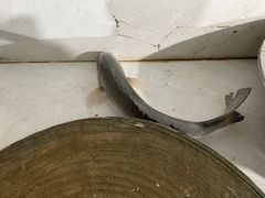 -考记泥焗鸡农庄·海鲜(北洛秘境店)