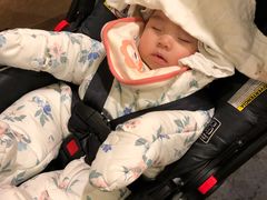 -荣德灶台鱼(圣泉寺店)