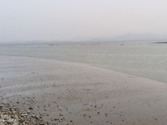 -深圳湾公园(南山区)