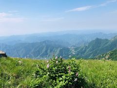 -白草畔自然风景区