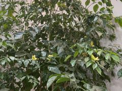 -静海名悦·私宴(大生店)