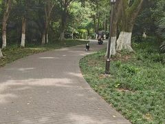 -郑和公园