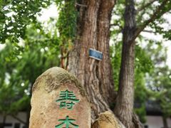 -苏州文庙(姑苏区)