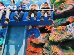 -青岛嘉年华主题乐园