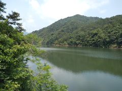 -广州市石门国家森林公园