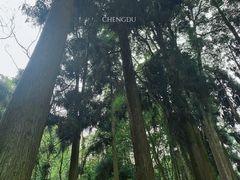 -青城山
