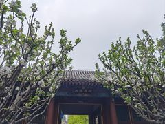 -颐和园
