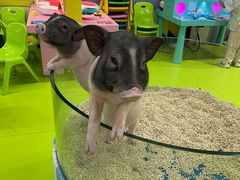 -大玩家(中原万达广场店)