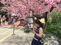 -木兰云雾山
