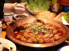 -成老灶火锅鸡(高东街店)