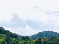 -清水寺