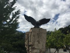 -北京鹫峰国家森林公园
