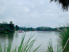 -枫香湖儿童公园