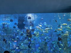 -横店影视城梦幻谷园区