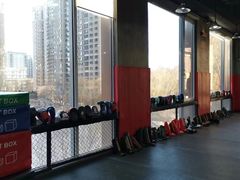 -极斗-IKMF马伽术·格斗运动学院(东直门店)