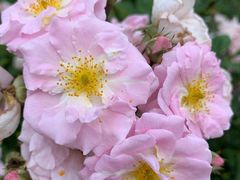 -贵阳市花溪国家城市湿地公园