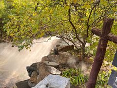 -北京西山国家森林公园