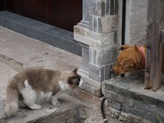 -前童古镇