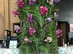 -曼谷铂尔曼皇权酒店