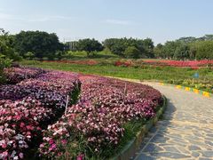 -松山湖梦幻百花洲