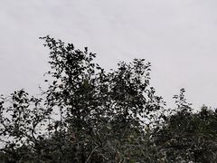 -糖房咖啡(南锣鼓巷店)