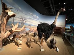 -陕西自然博物馆