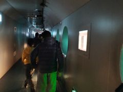 -白鹤梁水下博物馆