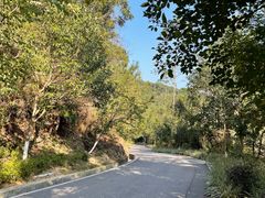 -广州白江湖森林公园