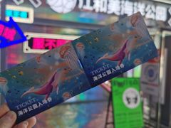 -江和美海洋公园