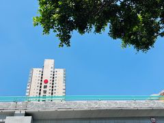 -四川大学(望江校区)