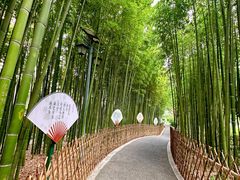 -陈家山荷花公园