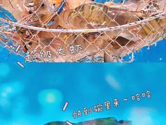 -嘻虾·钓虾工场(东莞总店)