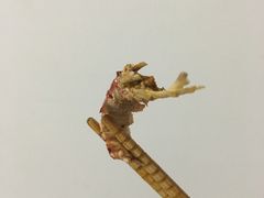 -沙氏虾蟹时尚餐厅(盘胥路店)