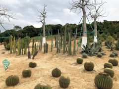 -东莞植物园