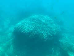 -亚龙湾海底世界