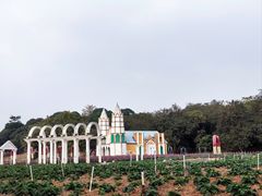 -松山湖梦幻百花洲