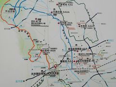 -桤木河湿地公园