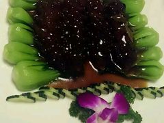 -菩提树·素食餐厅(汇智国际商业中心店)