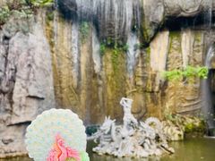-西双版纳原始森林公园