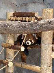 -Zoolung Zoolung动物主题公园(海信广场店)