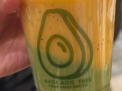 -油梨树AVOCADO TREE(嘉里中心店)