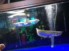 -百岁我家酸菜鱼(龙湾万达店)
